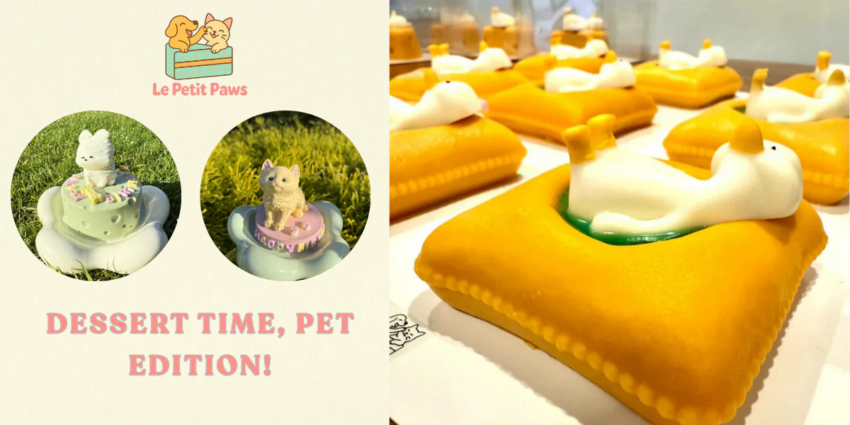 Pamper Your Furry Best Friend
