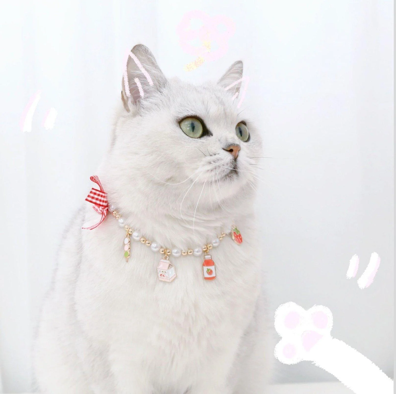 Cute Adjustable Ice-cream Strawberry & Duck Pet Necklace - Image 9