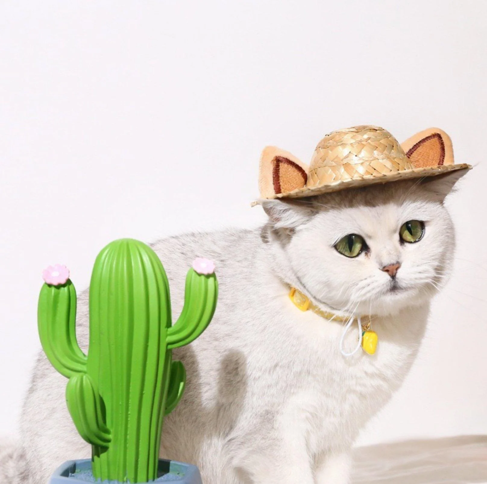 Pendant Style Adjustable Pet Collar - Image 7
