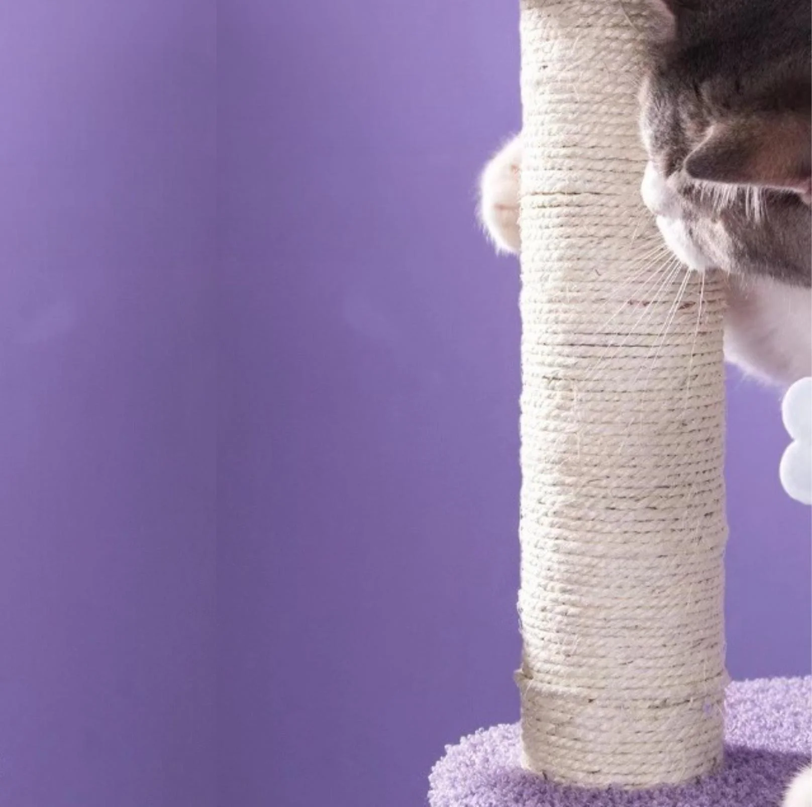 Fantasy Series Climbing Frame Cat Tree - Dreamland (Height 165cm) - Image 10