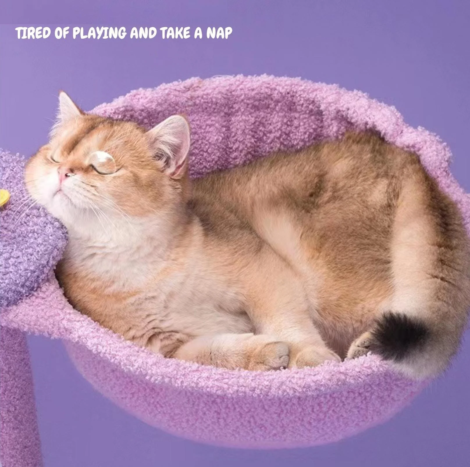 Fantasy Series Climbing Frame Cat Tree - Dreamland (Height 165cm) - Image 7