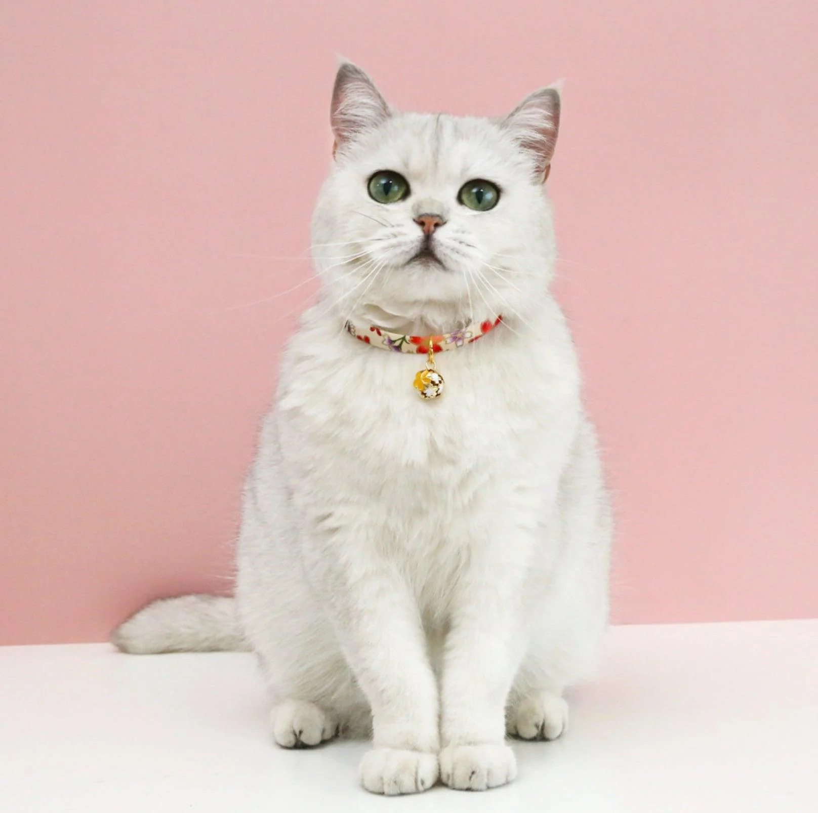 Japanese Style Adjustable Pet Flower Hollow Bell Collar - Image 13