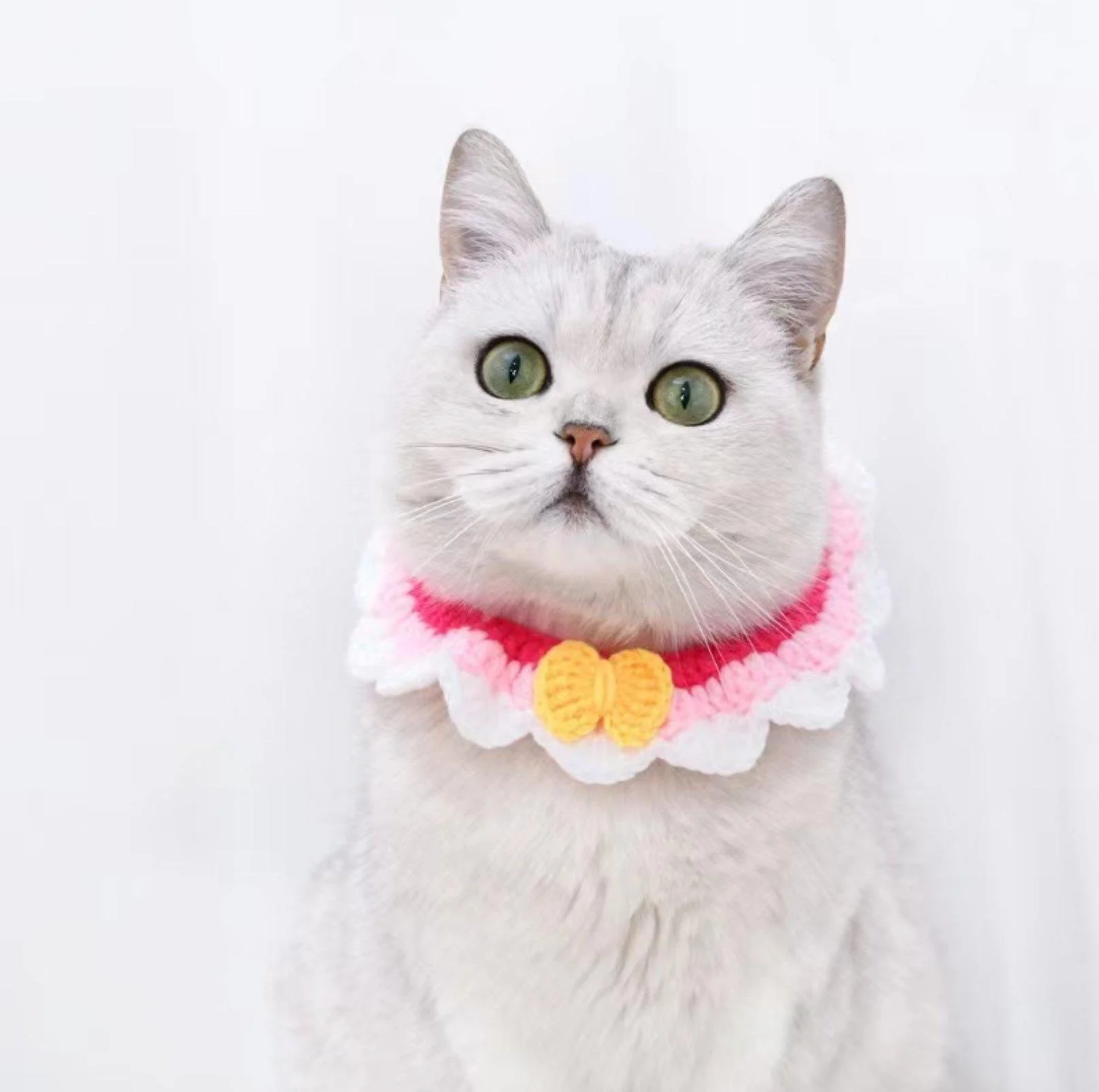 Pet Knitted Woolen Bibs - Image 3