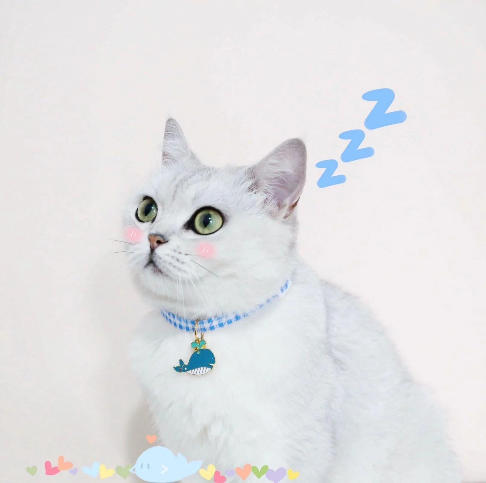 Pet Animal Shape Pendant Necklace With Candy Coloured - Image 10