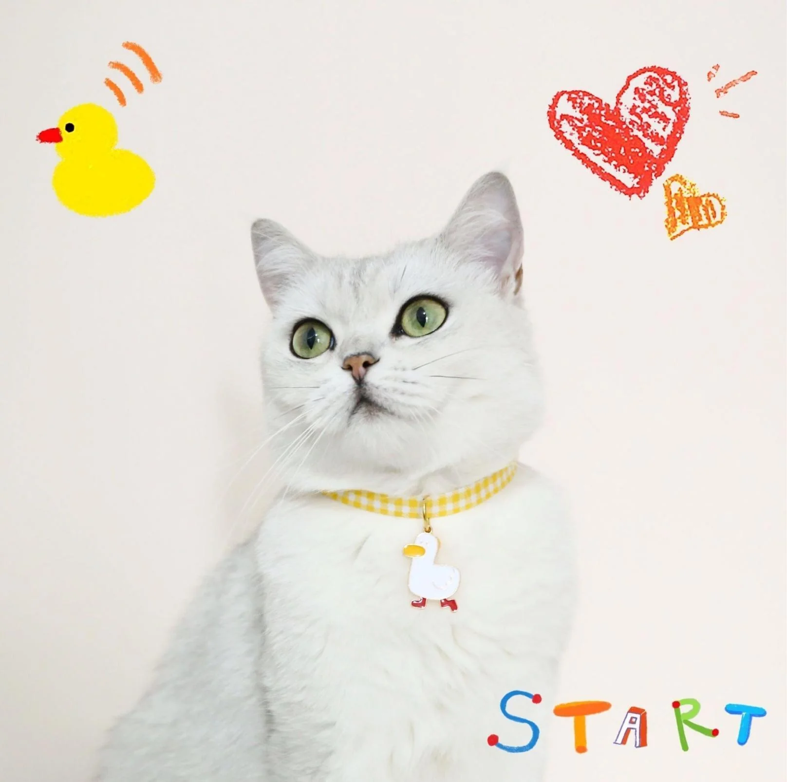 Pet Animal Shape Pendant Necklace With Candy Coloured - Image 12