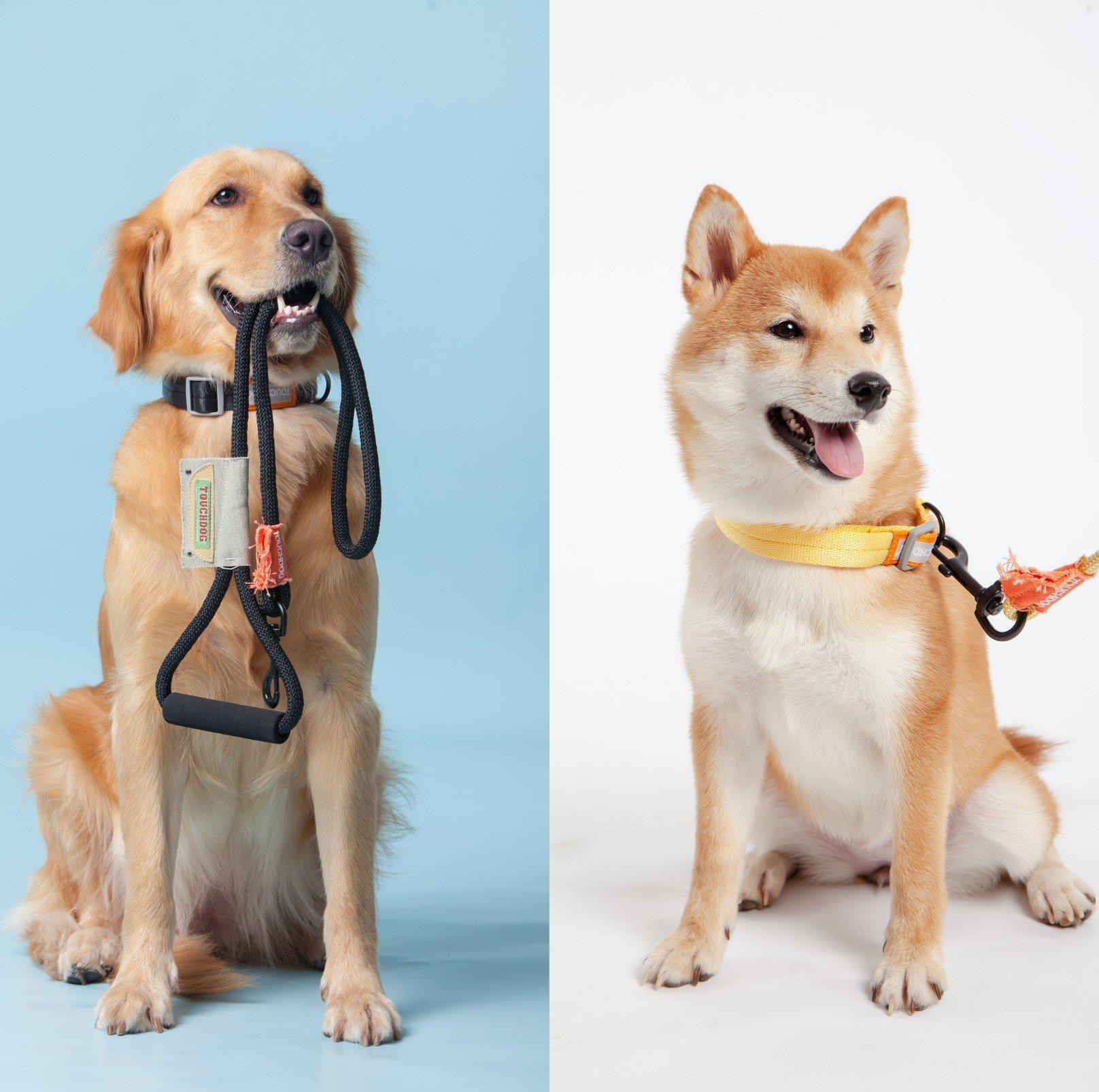 Touchdog Macaroon Colour Scheme Pet Leash Set (Leash + Collar) - Image 7